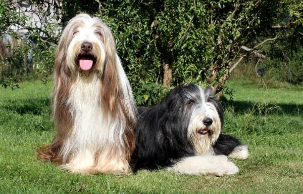 Babette und Rudolph Babette und Rudolph